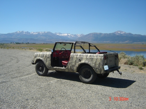 1964 Scout 80